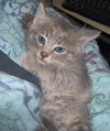 Monty