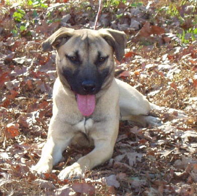 Starr