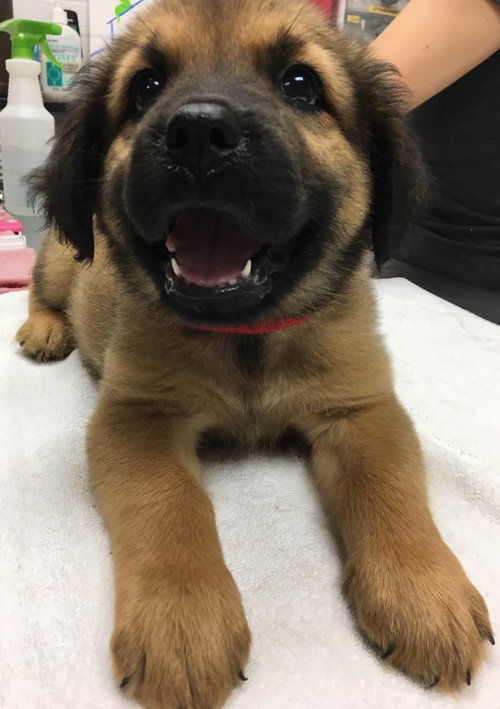 Sebastian