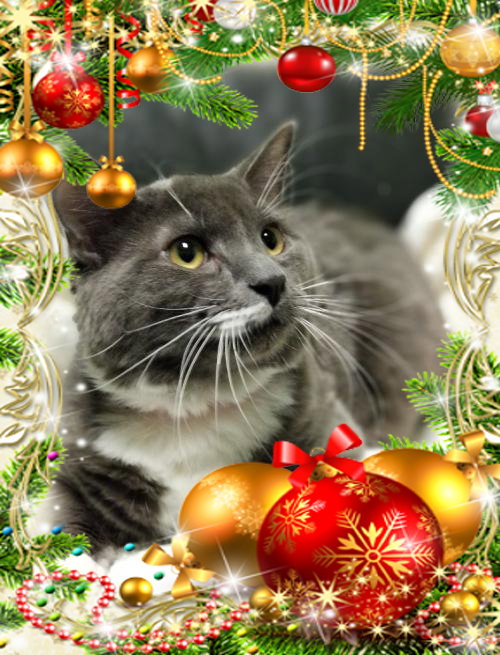 St. Nick