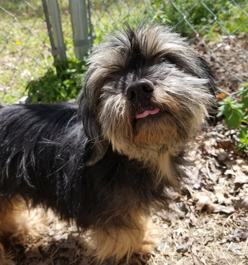 Coco