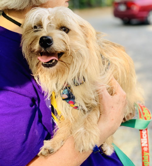 Sonny (pending adoption)