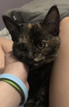 Cleopatra