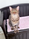 Ziggy photo 1