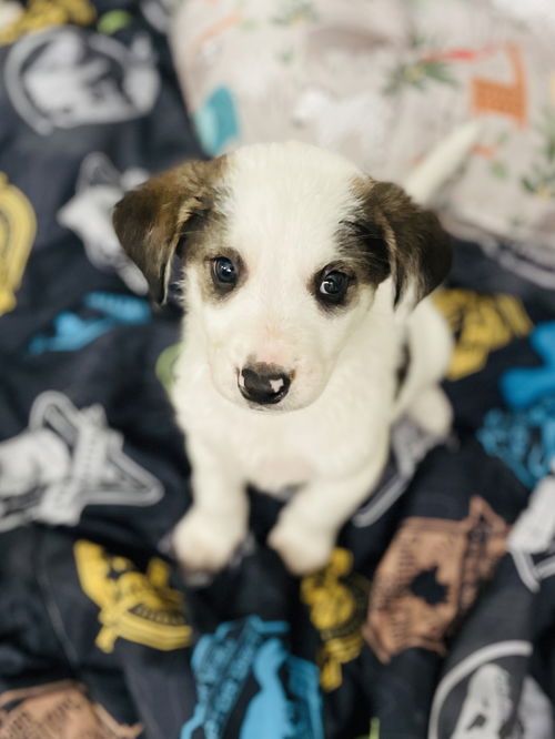 Kool-aid (In Foster)