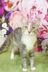 Thelma