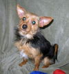 Chiquita