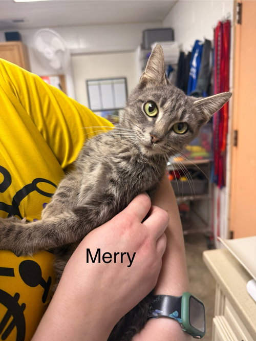 Merry