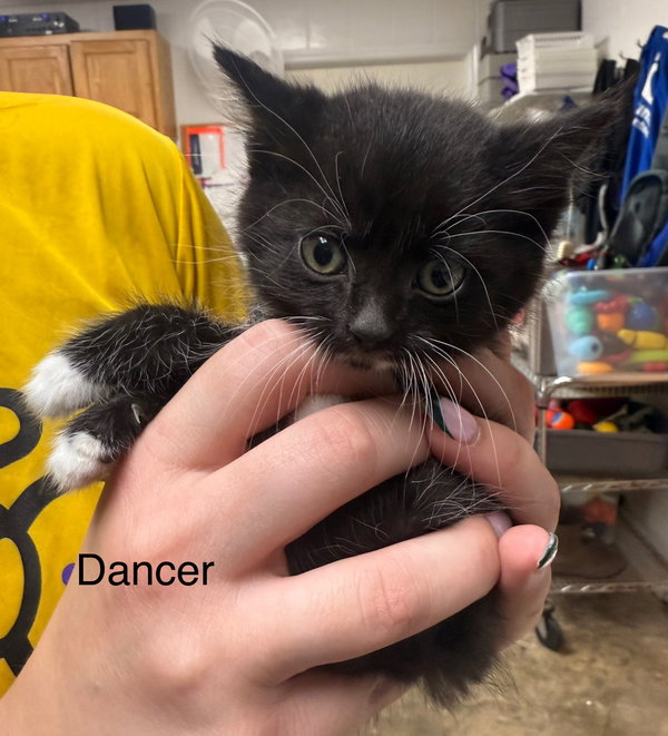 Dancer