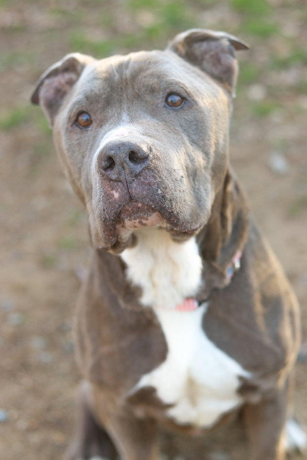 Doug (In Foster)