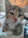 Lee Lee (Foster) photo 3