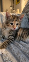 Lee Lee (Foster) photo 1