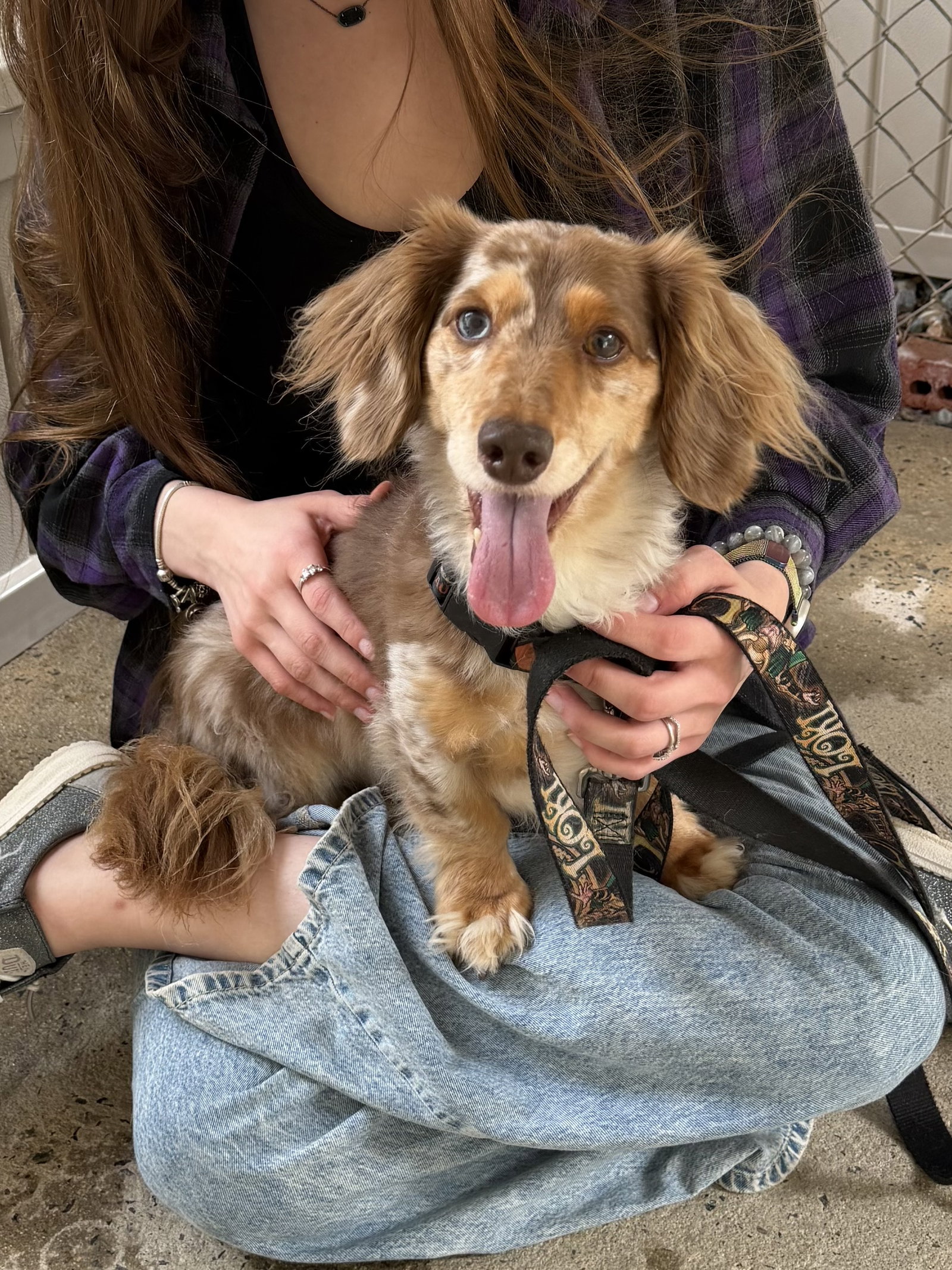 Loki