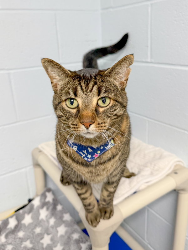 Robert