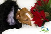 Ruffian