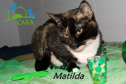 Matilda