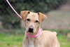 Skylar