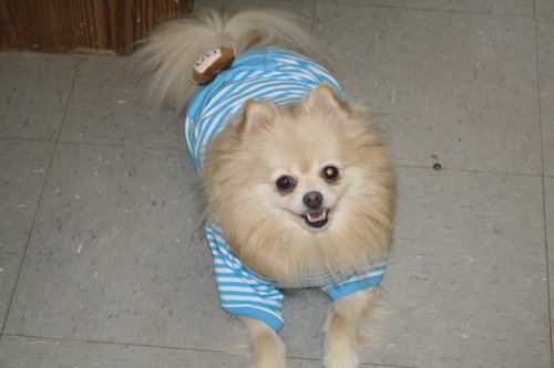 Chloe