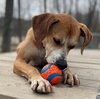 Sampson - Photo 2
