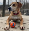 Sampson - Photo 3