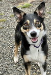 Bella - Photo 2