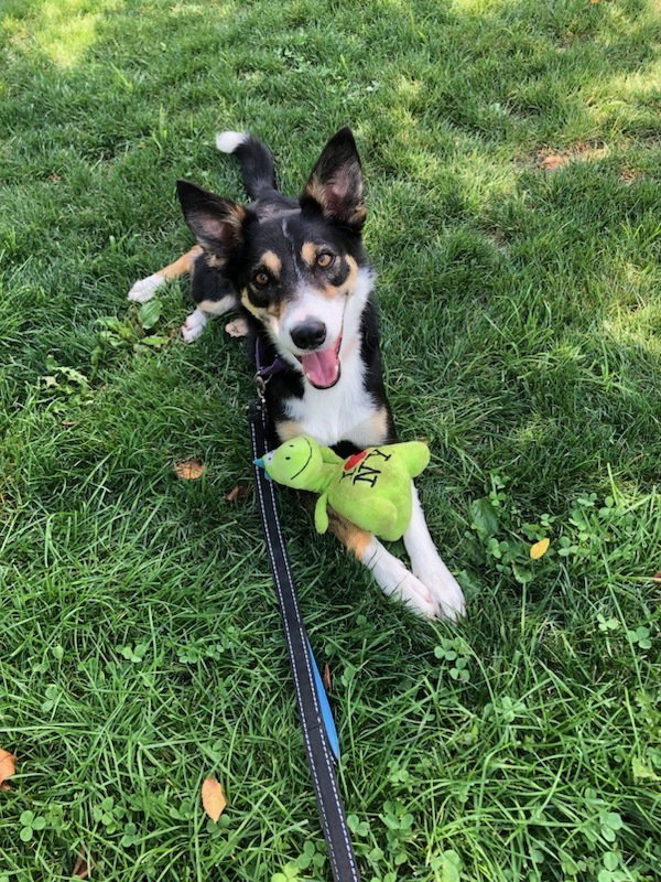 Bella