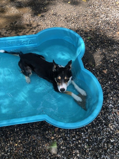 Bella photo 2