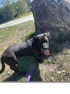 Tucker - Photo 2