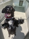 Tucker - Photo 3