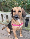 Buster Brown - Photo 1