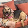 Buster Brown - Photo 2