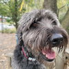 Smokey - Photo 1
