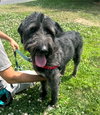 Smokey - Photo 3