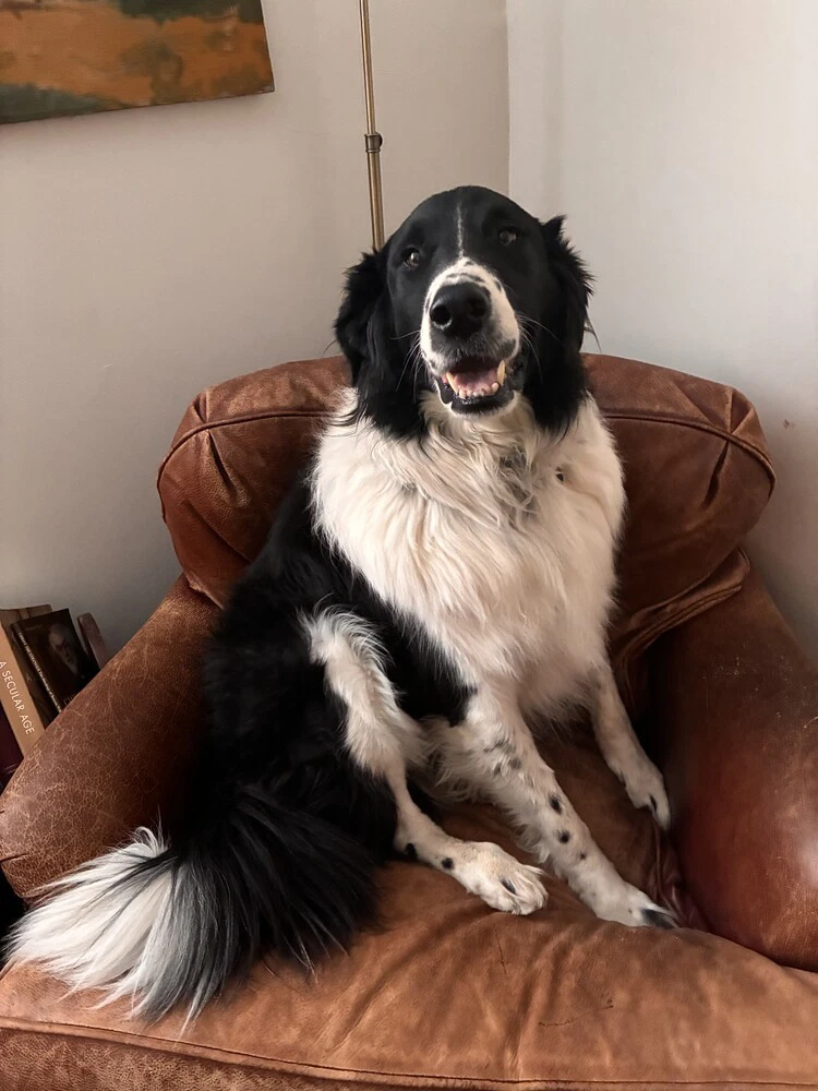 Casey Courtesy Post