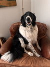 Casey **Courtesy Post** - Photo 1