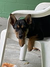 Jolly - Photo 3