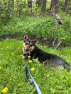 Jolly - Photo 2