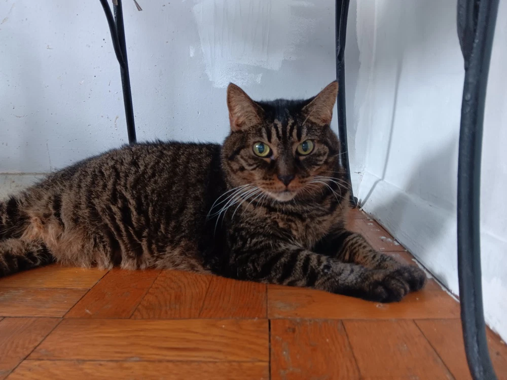 Elinor