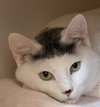 Russell - Photo 1