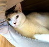 Russell - Photo 4