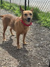 Roxy Roo - Photo 1