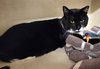 Keifer - Photo 4