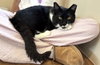 Keifer - Photo 4