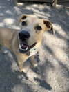 Bridget - Photo 2
