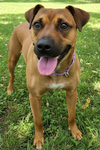 Jet Available 5/15 - Photo 1