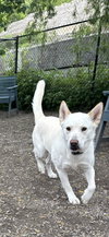 Ella Available 5/15 - Photo 2