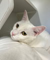 Sandy - Photo 4