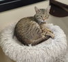Ella - Photo 4