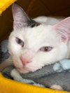Stormy - Photo 3