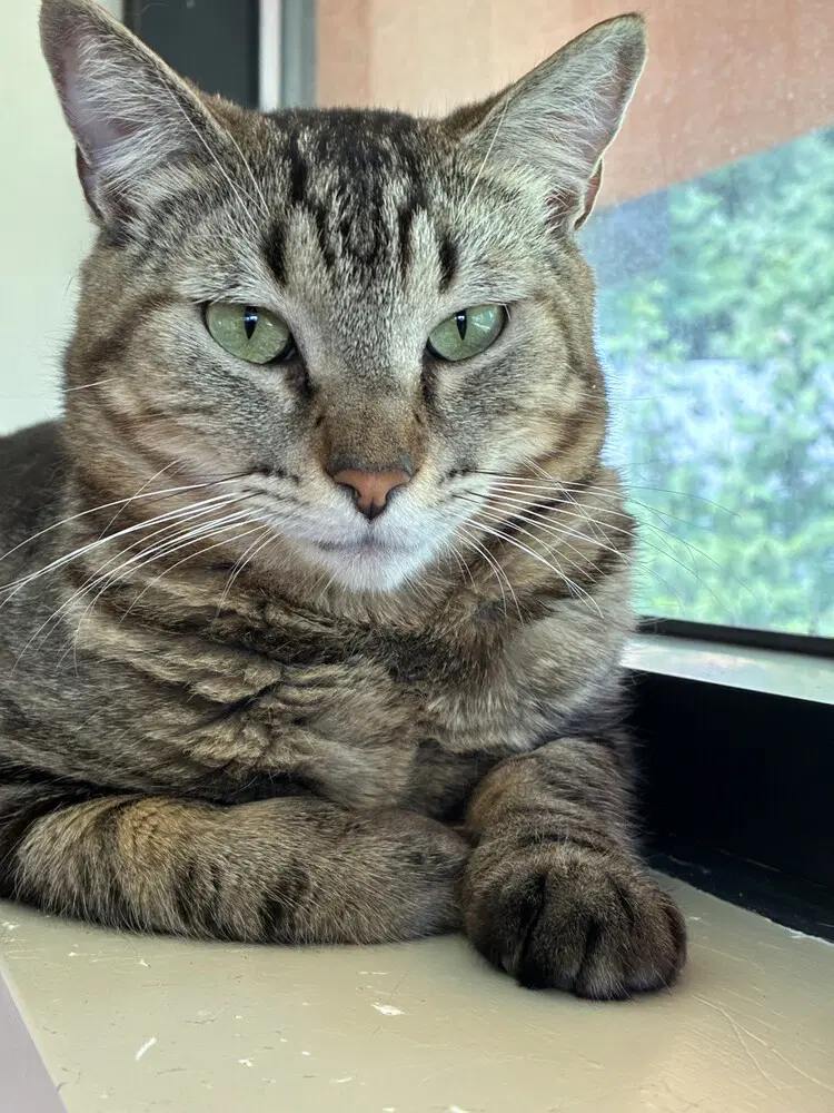 Ramses - One of a kind